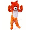Friendly Orange Wolf Mascot Costumes Cartoon