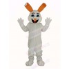 Easter Bunny Rabbit Mascot Costume Adult