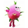 Dragon Fruit Pitaya Mascot Costume Cartoon