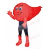 Comet mascot costume