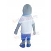 Dolphin mascot costume