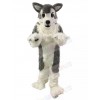 Dog mascot costume