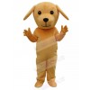 Dog mascot costume