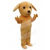 Dog mascot costume