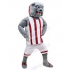 Dog mascot costume