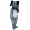 Dog mascot costume