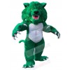 Cat mascot costume