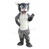 Wildcat mascot costume