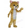 Cat mascot costume