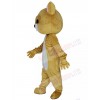 Cat mascot costume