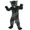 Cat mascot costume
