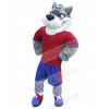 Wolf mascot costume