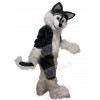 Wolf mascot costume