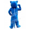 Wolf mascot costume