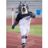 Wolf mascot costume