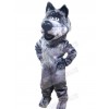 Wolf mascot costume
