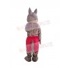 Coyote mascot costume