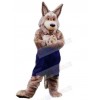 Wolf mascot costume
