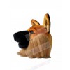Wolf mascot costume
