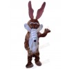 Wolf mascot costume