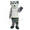 Wolf mascot costume