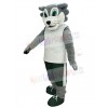 Wolf mascot costume