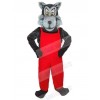 Wolf mascot costume