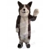 Wolf mascot costume