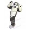 Wolf mascot costume