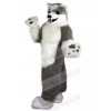 Wolf mascot costume