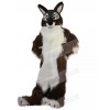 Wolf mascot costume