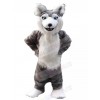Wolf mascot costume
