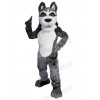 Wolf mascot costume