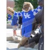 Tiger mascot costume