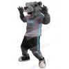 Tiger mascot costume