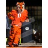 Tiger mascot costume