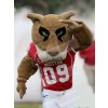 Tiger mascot costume