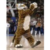 Tiger mascot costume