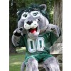Lion mascot costume