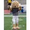 Lion mascot costume