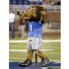 Lion mascot costume