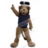 Lion mascot costume