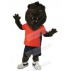Lion mascot costume
