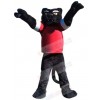 Panther mascot costume