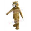 Cougar mascot costume