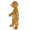 Beaver mascot costume