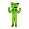 Green Frog Mascot Costume