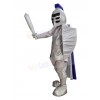 Knight mascot costume