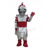 Knight mascot costume