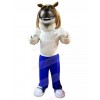 Dog mascot costume